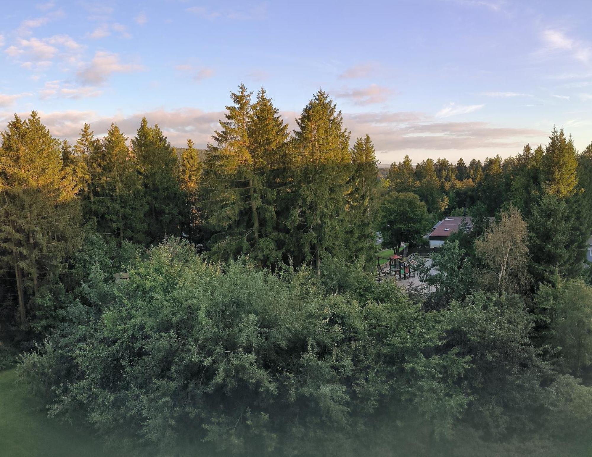 Appartement Harz High End Stefanie 4 Sterne Dtv *