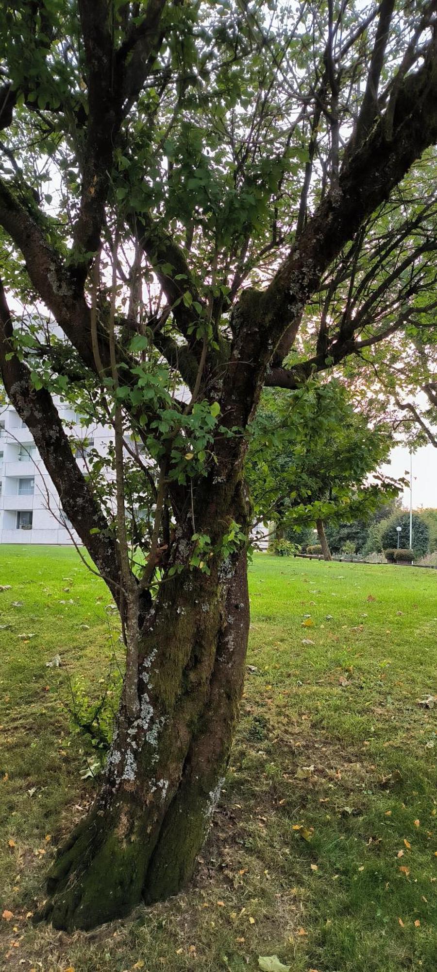 Harz High End Stefanie 4 Sterne Dtv Appartement